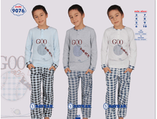 ������ 9076.png