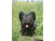 IMG 20160811 174354 15.jpg