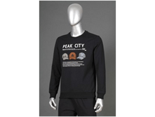 ���������  PE*AK F65**1741.png