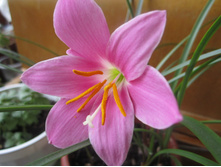 ����� 003.jpg