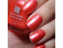 ������� ����� ��� Seashell SSH ��� 551 ������ (����.3��)