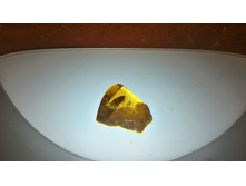 P 20160621 112735 HDR.jpg