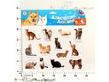 ���2565 ������.�������� ������� 2565 92,92.jpg