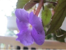 ����� 038.jpg