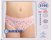 ����� 5105.png