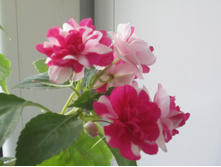 ���� 2014 240.jpg