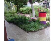 IMG 20160808 102202.jpg