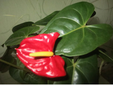 ������ 009.jpg