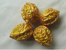 ������ ������������� ����� - ���������� �����