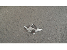 P 20160623 200030.jpg