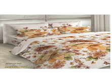 �������� ����