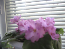 IMG 3514.JPG