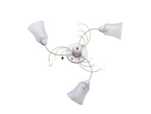 356017903 1600�.jpg