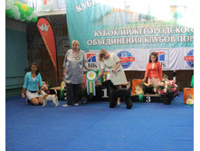 11888120 1897522353806208 5429089896917964180 n.jpg