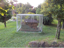 � ����� ��������