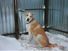 IMG 20160811 173950 53.jpg