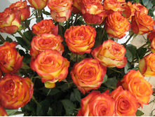 ������-2 (�����-������).jpg