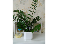 ������������