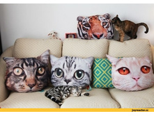 �������� ��� �����)