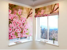 ������ �����.jpg