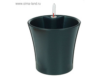 ������ � ����������� ������� 2,5� ���� ����� ��������� ���� 362,5 ���.jpg