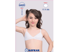 ������ 4429.png