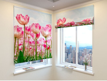 ������� ��������.jpg