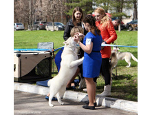 13096097 2033986416826467 9151611536038504435 n.jpg