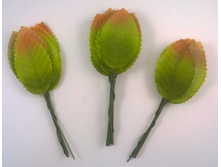 `������, ����� 10 ��, 10 ��