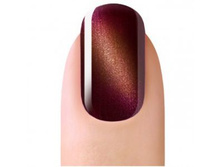 ����-��� ������� ����NOGTIKA CG 22-5 ��..jpg