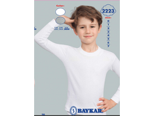 ��������� 2223.png