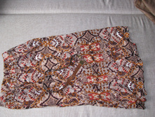 ������� ���� � ��������.Acasta