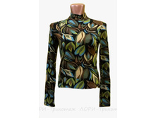 ��������� V063.17