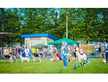 13697155 2086063204952121 5219238406982218365 n.jpg