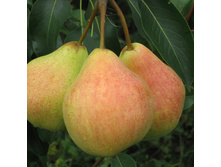 ����� ������ �������� 320���. 1-����� (������� 20��).jpeg