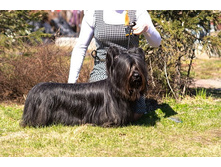 IMG 20160811 173643 1.jpg