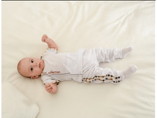 �������� �� �������� � ��������� ��-24