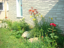 DSC05154 - �����.JPG