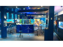 P 20160622 101117 LL.jpg