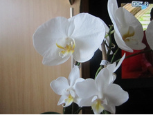 ����� 041.jpg