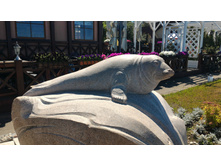 P 20160627 140643.jpg