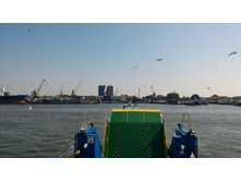 P 20160626 113421.jpg