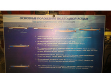 P 20160622 123258.jpg