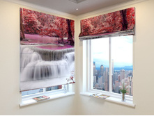 ������� �������.jpg