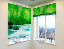 ������� ����.jpg