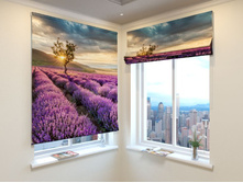 ��������� ����.jpg