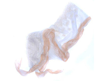 ���. 99 1231 (350 ���) 160 �� 17 ��, �����.jpg