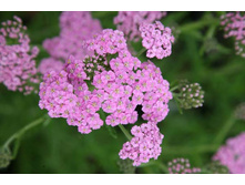 ������������� ����� ����� 90