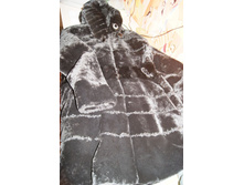 ���� ���� �� �������