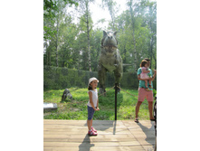 ������ 748.jpg